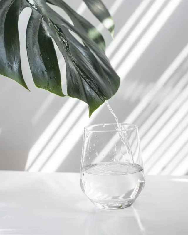 Schluck für Schluck zu neuer Leichtigkeit! Dein Reminder, heute ausreichend Wasser zu trinken! 💧 Wir wünschen dir einen entspannten 1. Mai. Gönn dir eine kleine Auszeit und tanke neue Kraft!

#leichterleben #wassertrinken #detox #frühling #gesundheit #drapal #wohlbefinden #1mai #feiertag