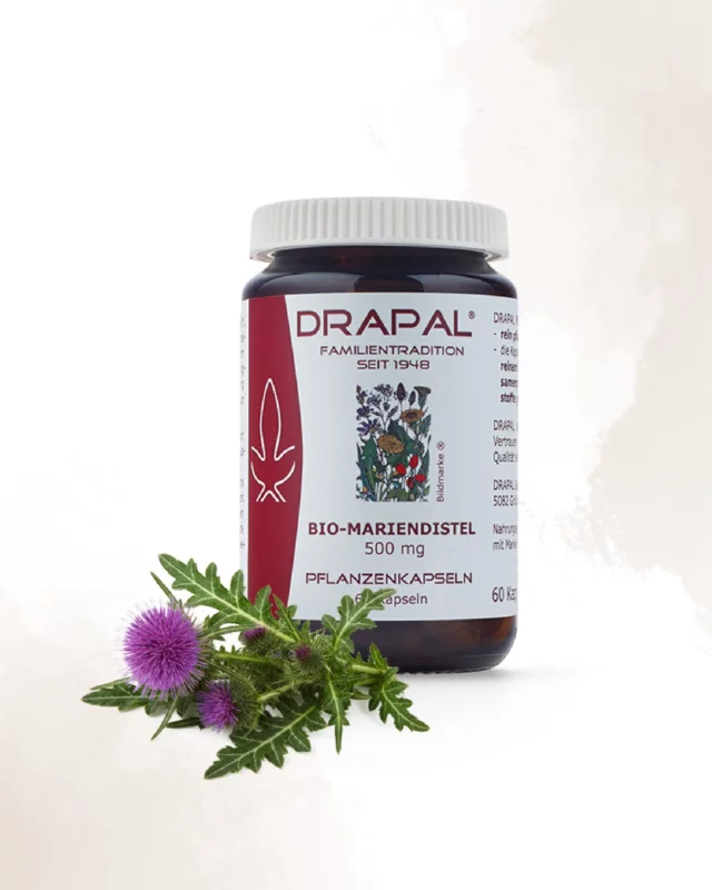 Reine Mariendistel. Reine Wirkung.
Ganz neu bei DRAPAL: Unsere Bio-Mariendistel Pflanzenkapseln.
🌿 100 % getrocknete, vermahlene Bio-Mariendistel – ohne Zusätze, ohne Bitterkeit.
Für alle, die Pflanzenkraft lieber kompakt genießen.
Natürlich. Hochwertig. DRAPAL.

#drapal #neu #mariendistel #pflanzenkraft #bioqualität #reinewirkung #gesundundleicht #naturpur