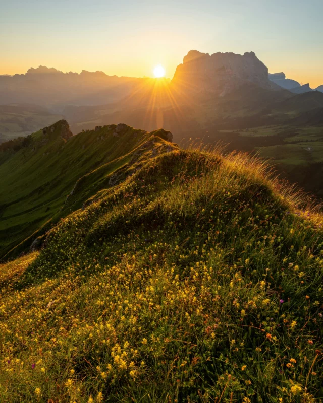 Sommer bedeutet nicht nur Sonne. Sommer bedeutet: frische Bergluft, lange Abende, Zeit draußen und Momente, die neue Energie schenken. ☀️

Manchmal ist das Beste für unser Wohlbefinden ganz einfach:
rausgehen, durchatmen und die Natur genießen.

#drapal #sommer #natur #berge #wohlbefinden #energie #achtsamkeit #naturprodukte