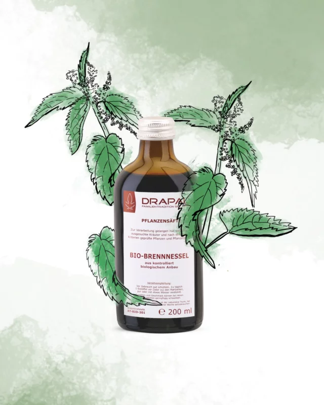 🌿 Brennnessel. Pur in der Flasche.

Eine Pflanze mit Charakter, sorgfältig verarbeitet für unseren DRAPAL Bio-Brennnessel Pflanzensaft.

Was wir daran besonders mögen? Manchmal braucht es keine lange Zutatenliste. Sondern eine Pflanze, die seit Generationen ihren festen Platz in der traditionellen Pflanzenkunde hat.

Ein Stück heimische Pflanzenkraft für den Alltag. 🌱

#drapal #brennnessel #biobrennnessel #pflanzensaft #pflanzenkraft #naturprodukte #bio #naturpur #drapalnaturprodukte